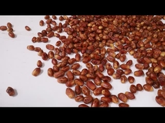 Машина для сортировки финиковых финиковых пальм